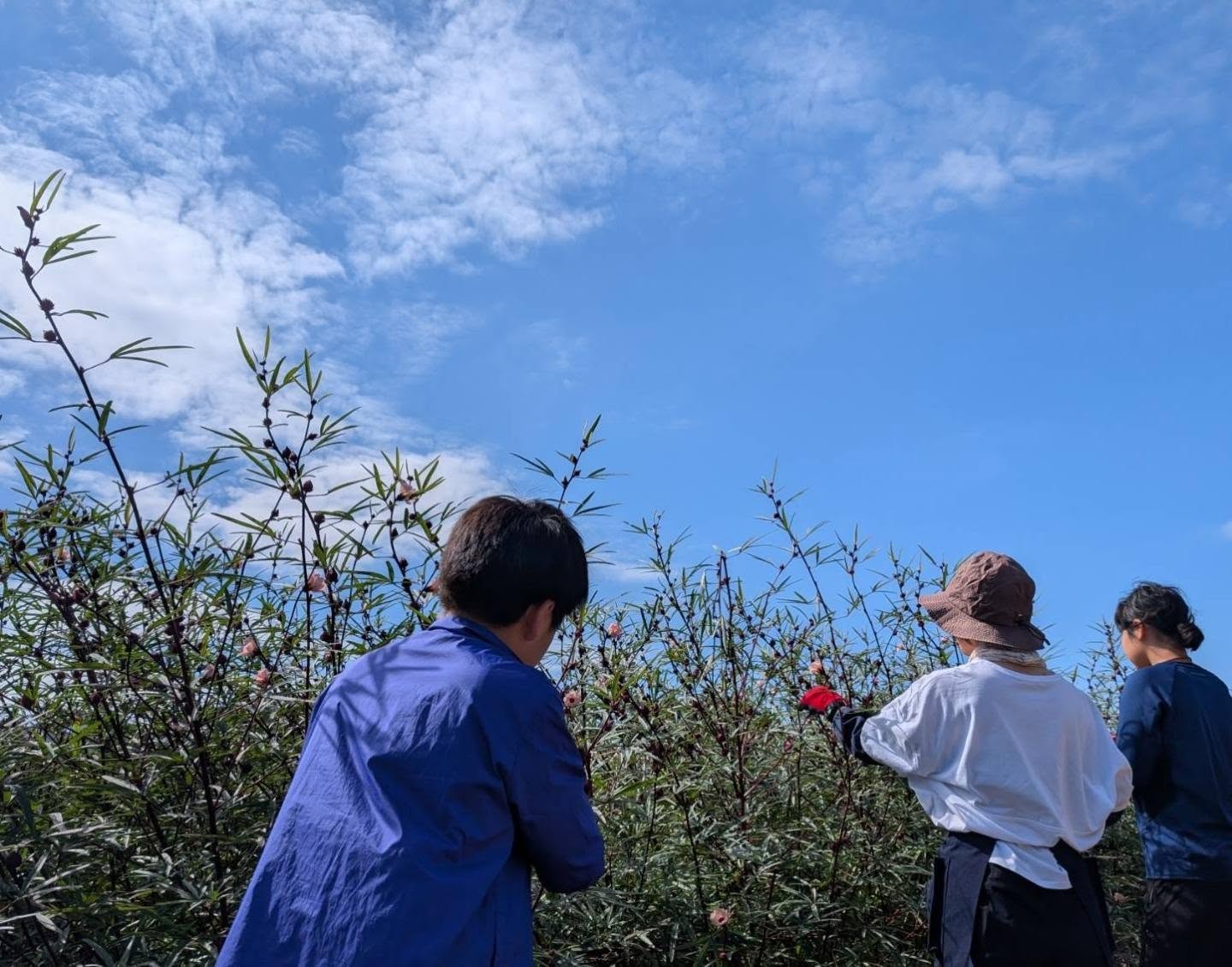 Instagram投稿の画像 1